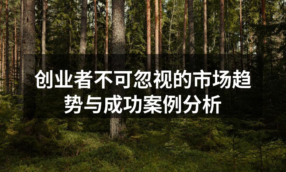 创业者不可忽视的市场趋势与成功案例分析