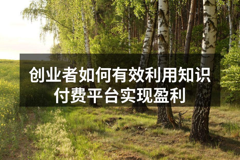 创业者如何有效利用知识付费平台实现盈利